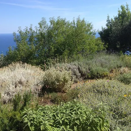 Guest house Il Nettare Riomaggiore