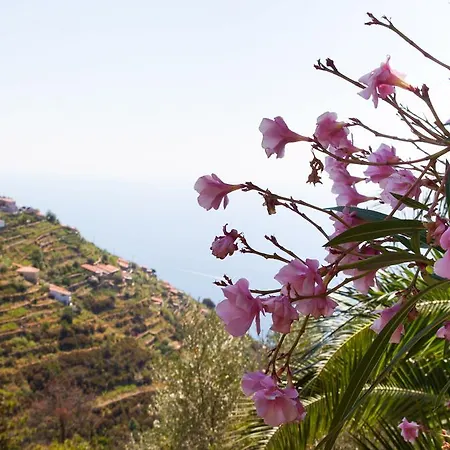 Guest house Il Nettare