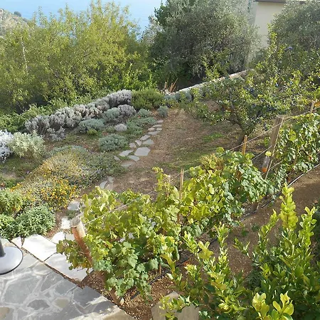 Guest house Il Nettare *