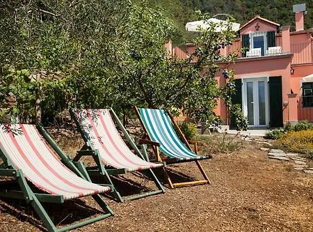 Il Nettare